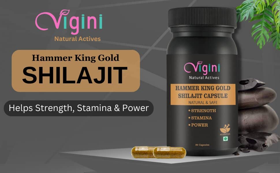 Elevate Your Well-Being With The Best Shilajit Products Online In Karnataka By Vigini